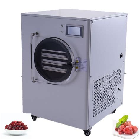 Food Vegetable Fruit Vacuum Lyophilization Freeze Drying Machine