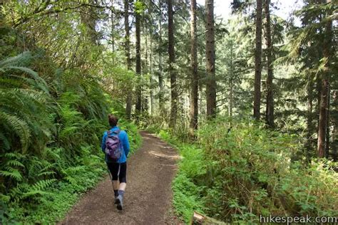 Cape Lookout Trail | Oregon | Hikespeak.com