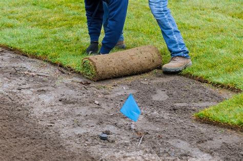 Application D Herbe Verte Roul E Avec Pose De Gazon Pour Une Nouvelle