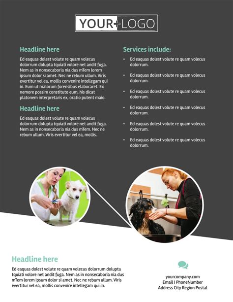 Pet Groomers Flyer Template Mycreativeshop