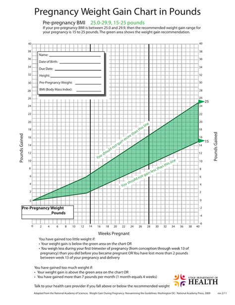 Weight Gain For Pregnancy Chart