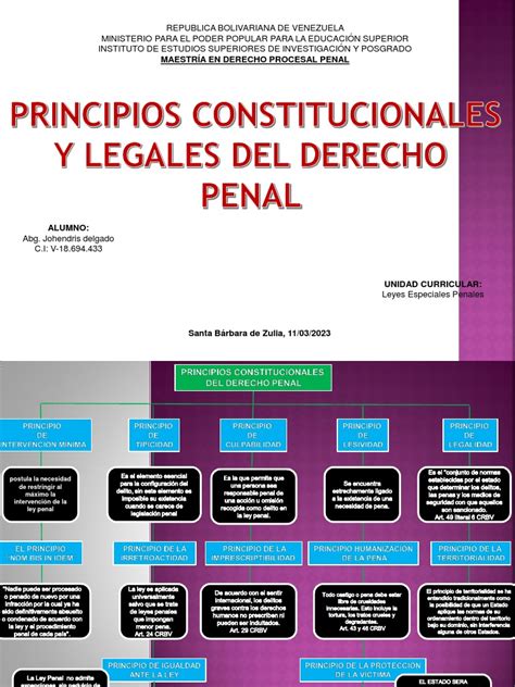 Mapa Conceptual Principios Constitucionales Pdf