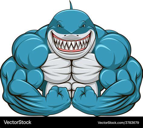 White Shark Royalty Free Vector Image Vectorstock