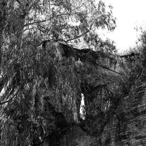 La beauté des ruines Thermes de Trajan Roma Luc Mary Rabine Flickr