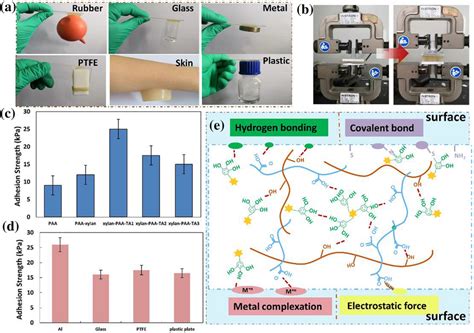 Adhesion Of The Xylan Paa Ta Hydrogels A The Hydrogel Was Adhered To