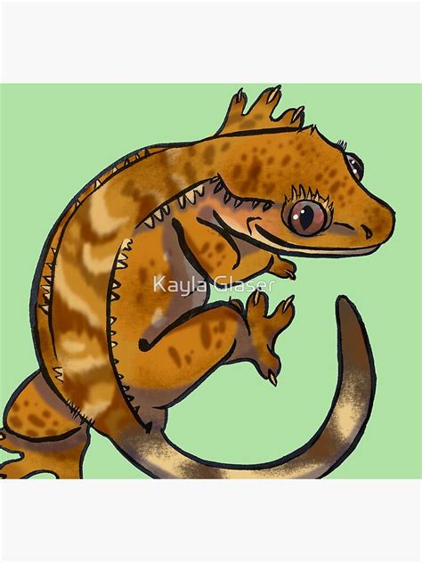 Crested Gecko Patternless • Digital Cartoon Iphone Wallet By Cirylxd