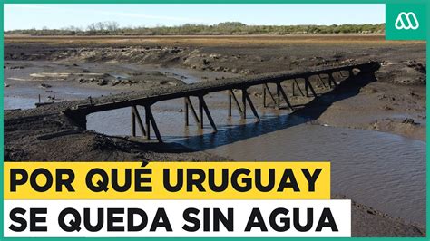 Escasez De Agua Potable En Uruguay El Origen De La Crisis H Drica En