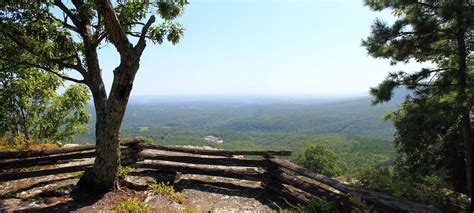 Round Top Mountain Trail Pics | Arklahoma Hiker