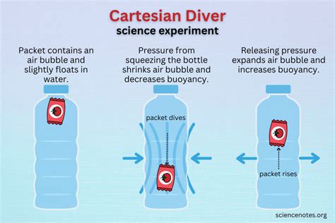 Dive Into Science The Cartesian Diver Experiment