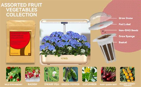 Assorted Fruit And Vegetables Seed Pod Kit Compatible With