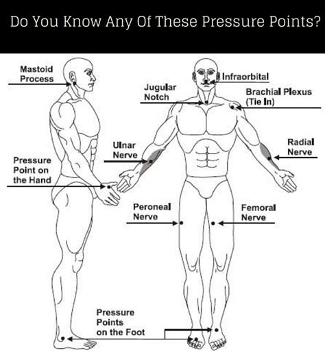 Pressure Points On The Body Self Defense