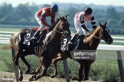 Jockey Steve Cauthen Riding Affirmed In Action Vs Jorge Velasquez