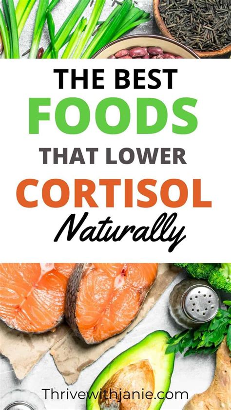 The Best Foods That Reduce Cortisol Levels Naturally Thrive With