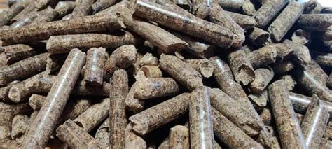 Mm Biomass Pine Wood Pellets At Rs Tonne Biomass Wood Pellet