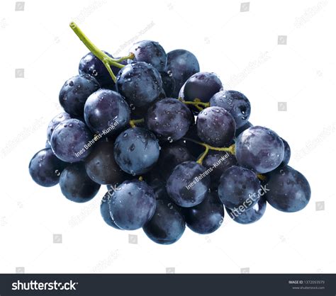 Blue-grapes Images, Stock Photos & Vectors | Shutterstock