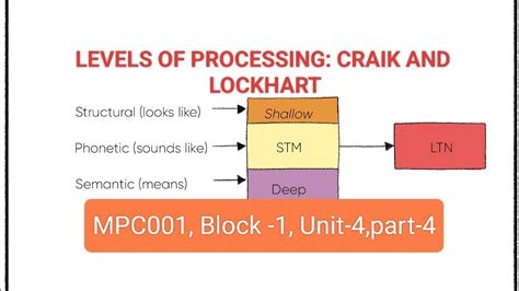 LEVELS OF PROCESSING CRAIK AND LOCKHART Craik और Lockhart क Levels of