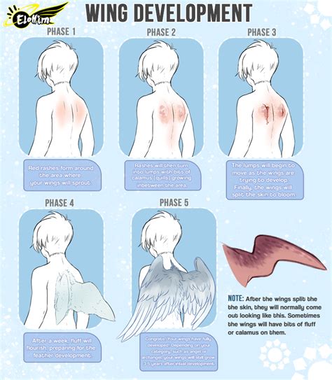 Elohim Wing Development By Yobot On DeviantArt Art Reference Wings