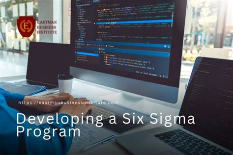 Developing A Six Sigma Program Eastman Business Institute