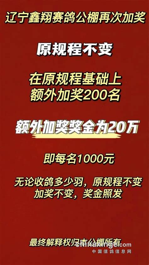 特大喜讯 庆祝 庆祝 庆祝 辽宁鑫翔赛鸽公棚再次加奖，原规程不变，额外加奖200名，奖金20万 辽宁鑫翔赛鸽公棚 中信网各地公棚