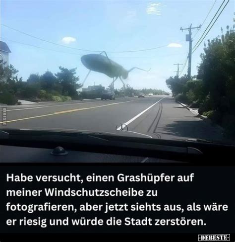 Habe versucht einen Grashüpfer auf meiner Windschutzscheibe zu