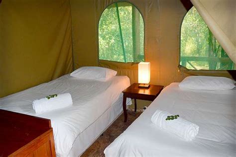 Maerua Luxury Safari Tents - Marloth Park Accommodation. Marloth Park ...