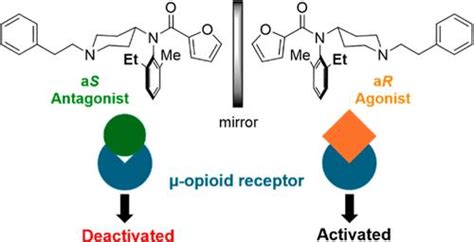 μ 阿片受体的芬太尼型拮抗剂：轴向手性在活性构象中的重要作用journal Of Medicinal Chemistry X Mol
