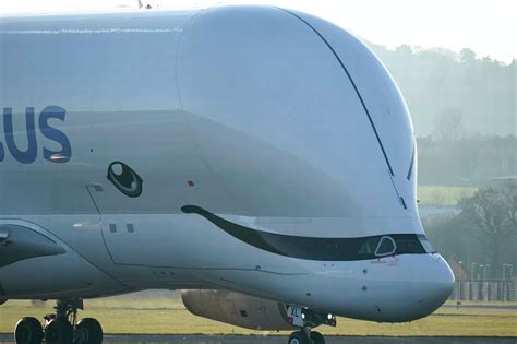 Amazing Pictures Of BelugaXL Plane S Maiden Flight Over Britain