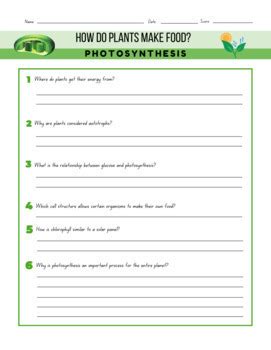 Photosynthesis Reading Comprehension Article Activity By Strankles