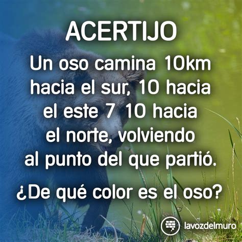 48 Acertijos Y Pasatiempos Con Respuestas Y Soluciones La Voz Del