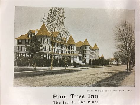 pine tree inn