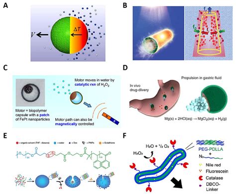 Schematic Representation Of Polymeric Micro Nanomotors Propulsion