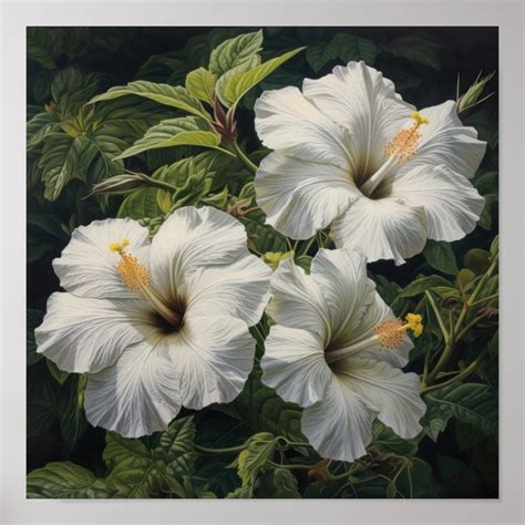 White Hibiscus Flower Art Print Poster Zazzle En Flores