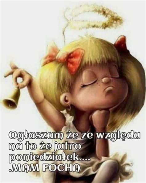 Pin by Wiola Gałązka on dni Weekend humor Humor Funny