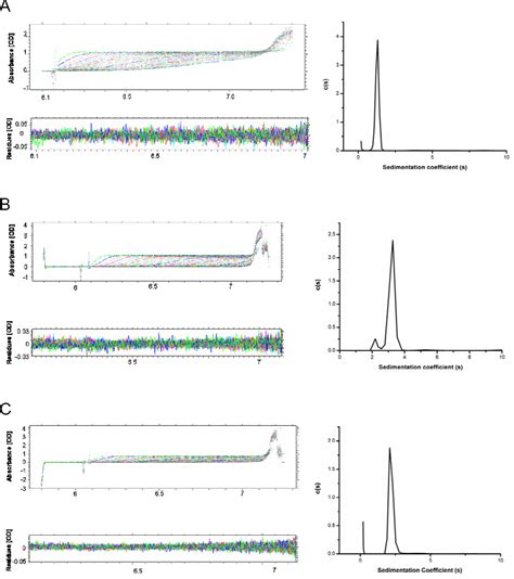 Figure From Structural Basis For Dimerization In Dna Recognition By