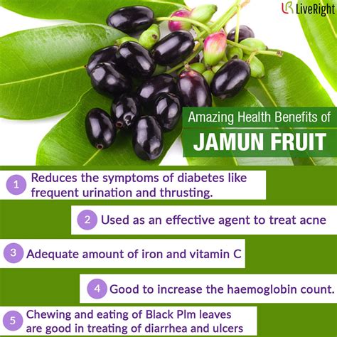 Health Benefits Of Jamun Top 8 Benefits Of Jamun