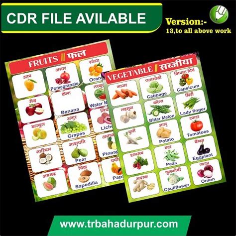 Vegetable And Fruit Chart