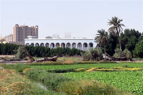 Al-Jahra governorate -Kuwaiti oasis ravaged by modern constructions ...