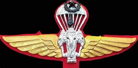 Royal Thai Army Master Parachutist Wings Badge PIN Thailand Military ...