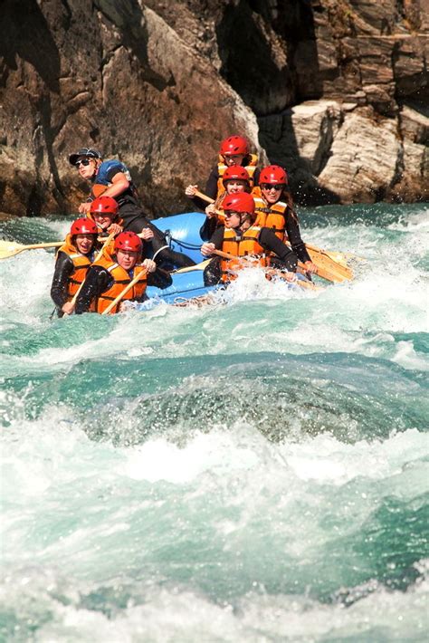 Going Wild In South Island New Zealand By Terry Gardner Tripoto