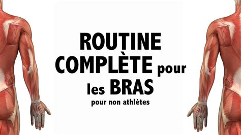 Wow Routine D Exercices Compl Te Pour Paules Bras Et Mains Pour