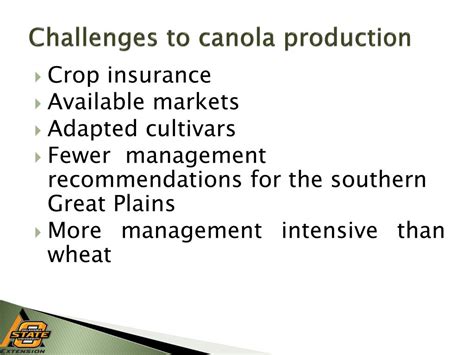 PPT - Canola Production PowerPoint Presentation, free download - ID:1700116