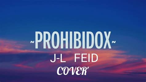 PROHIBIDOX FEID Cover J L Video Lyric YouTube