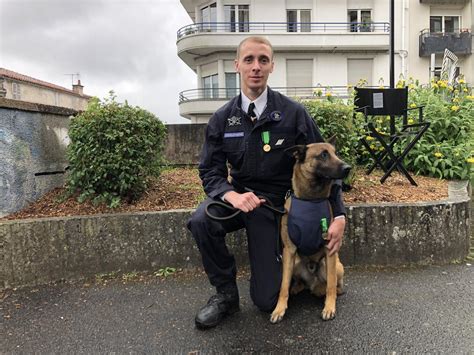 Angoul Me Le Chien De La Gendarmerie Scott Distingu Par La Soci T D