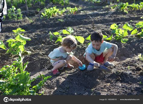 Kids Planting Seeds