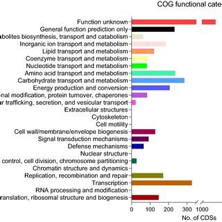 The Cluster Of Orthologous Groups COG Classification Of Putative