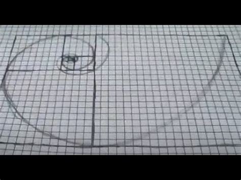 How To Draw A Fibonacci Spiral With Graph Paper Youtube