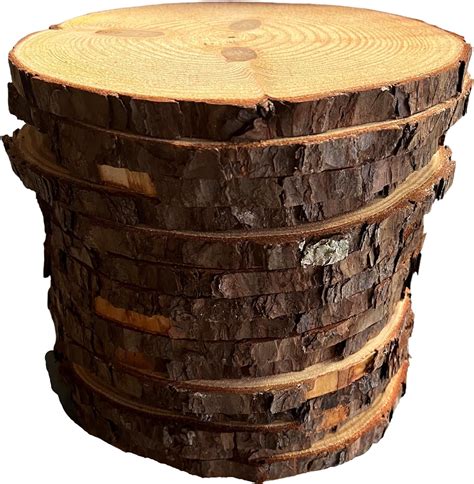 Set Of 10 8 9 Inch Wood Slices For Centerpieces Wood Slice