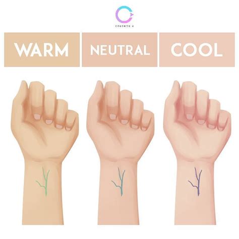 Colorogia On Instagram 🌛how To Find Your Undertone🌜 Vein Test Look