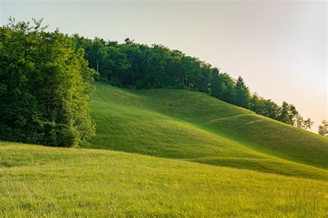 木々が生い茂る緑の草原の写真 Unsplashの無料poljane Nad škofjo Loko写真