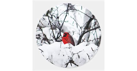 Pretty Red Cardinal Snow Photo Classic Round Sticker Zazzle